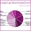 Large Cap Stock Index Fund