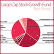 Large Cap Stock Growth  Fund