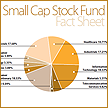 Small Cap Stock  Fund